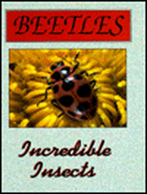 Beetles de James E. Gerholdt