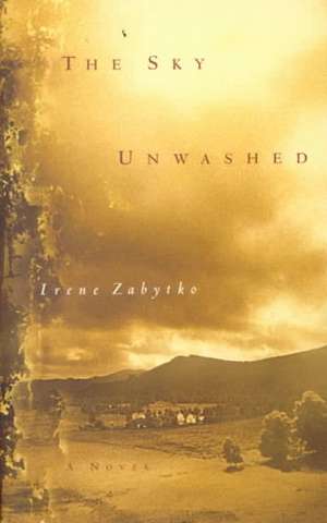 The Sky Unwashed de Irene Zabytko