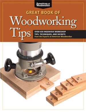 Great Book of Woodworking Tips de Randy Johnson