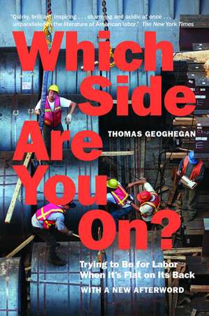 Which Side Are You On?: Trying to Be for Labor When It's Flat on Its Back de Thomas Geoghegan