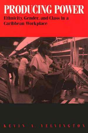 Producing Power: Ethnicity, Gender, and Class in a Caribbean Workplace de Kevin Yelvington