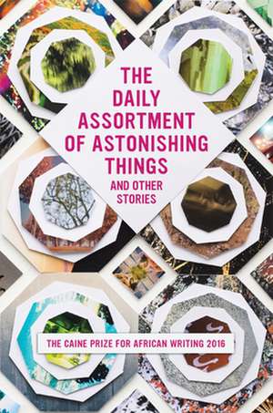 The Daily Assortment of Astonishing Things and Other Stories: The Caine Prize for African Writing 2016 de Lizzy Attree