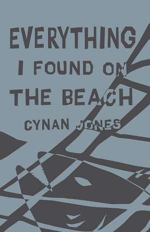 Everything I Found on the Beach de Cynan Jones