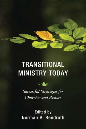 Transitional Ministry Today: Successful Strategies for Churches and Pastors de Norman B. Bendroth