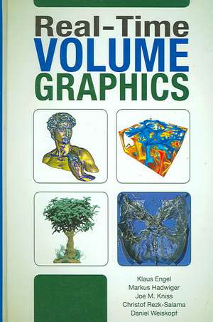 Real-Time Volume Graphics de Klaus Engel