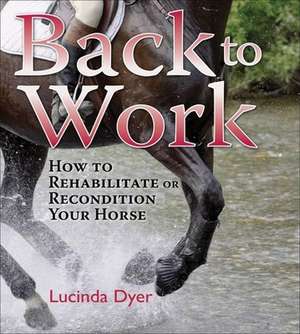 Back to Work: How to Rehabilitate or Recondition Your Horse de Lucinda Dyer