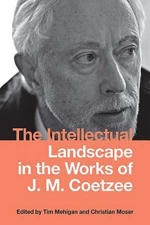 The Intellectual Landscape in the Works of J. M. Coetzee de Tim Mehigan