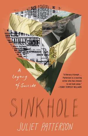 Sinkhole de Juliet Patterson