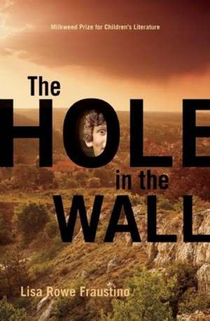 The Hole in the Wall de Lisa Rowe Fraustino