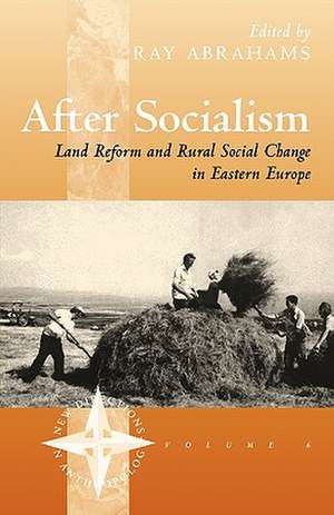 After Socialism de Ray Abrahams