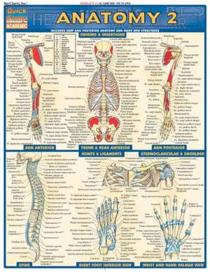 Anatomy 2: Includes Deep and Posterior Anatomy and Any New Structures de Vincent Perez