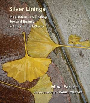 Silver Linings de Mina Parker