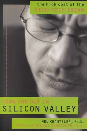 Down and Out in Silicon Valley de Mel Krantzler