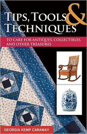 Tips, Tools & Techniques to Care for Antiques, Collectibles, and Other Treasures de Georgia Kemp Caraway