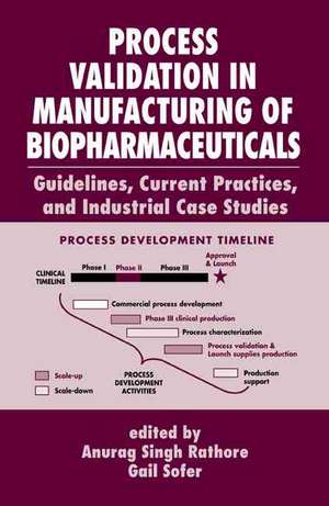 Process Validation in Manufacturing of Biopharmaceuticals: Guidelines, Current Practices, and Industrial Case Studies de Anurag Singh Rathore