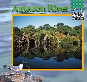 Amazon River de CARI MEISTER