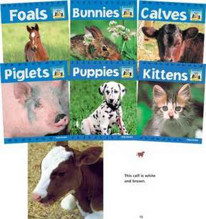 Baby Animals de Abdo Publishing