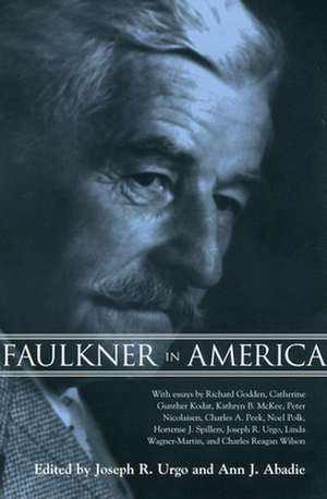 Faulkner in America de Richard Godden