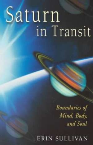 Saturn in Transit de Erin Sullivan