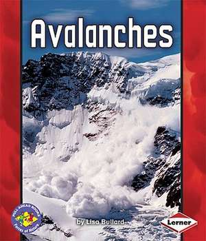 Avalanches de Lisa Bullard