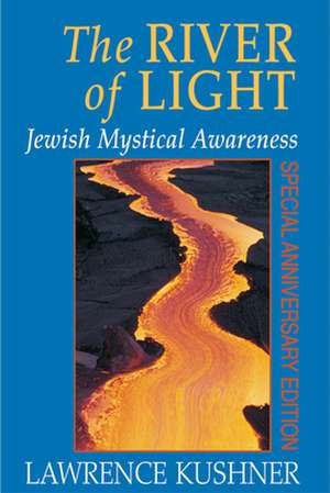 The River of Light de Lawrence Kushner