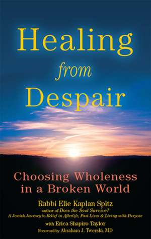 Healing from Despair: Choosing Wholeness in a Broken World de Elie Kaplan Spitz