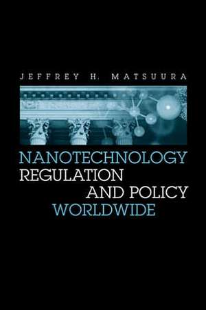 Nanotechnology Regulation and Policy Worldwide de Jeffrey H. Matsuura