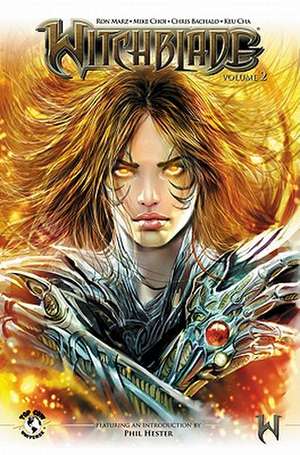 Witchblade Volume 2: Awakenings de Ron Marz