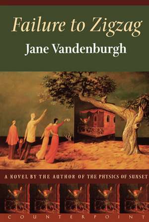 Failure to Zigzag: The Biography de Jane Vandenburgh