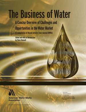 The Business of Water: A Concise Overview of Challenges and Opportunities in the Water Market de Steve Maxwell