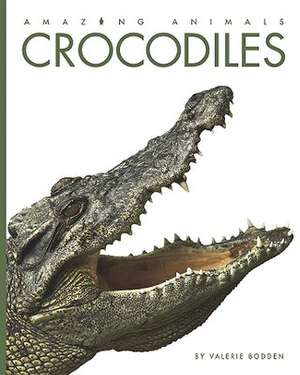 Crocodiles de Valerie Bodden