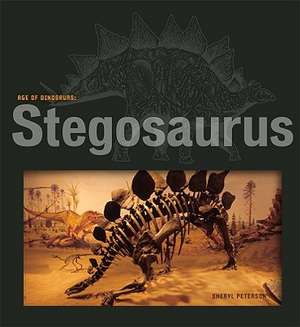 Stegosaurus de Sheryl Peterson