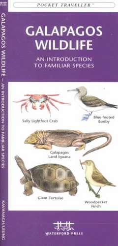 Galapagos Wildlife: A Folding Pocket Guide to Familiar Animals de James Kavanagh