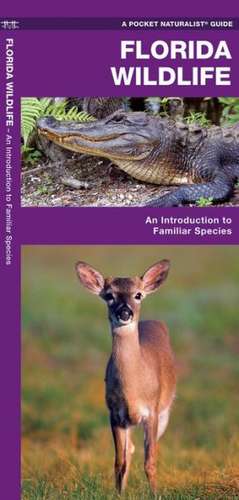 Florida Wildlife: An Introduction to Familiar Species de James Kavanagh