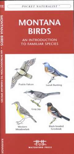 Montana Birds: A Folding Pocket Guide to Familiar Species de James Kavanagh