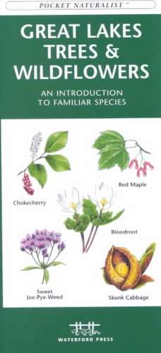 Great Lakes Trees & Wildflowers: A Folding Pocket Guide to Familiar Species de James Kavanagh