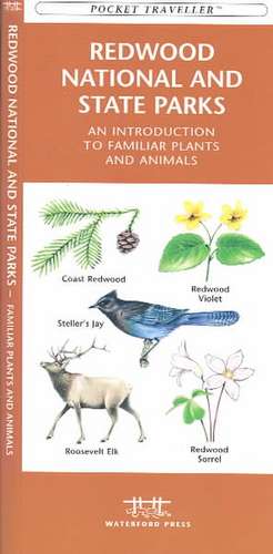 Redwood National and State Parks: An Introduction to Familiar Plants and Animals de Waterford Press