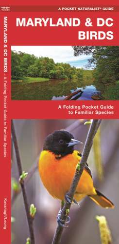 Maryland & DC Birds: A Folding Pocket Guide to Familiar Species de James Kavanagh