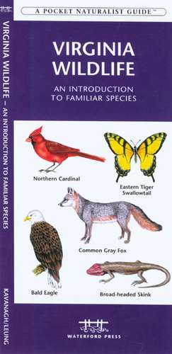 Virginia Wildlife: A Folding Pocket Guide to Familiar Species de James Kavanagh