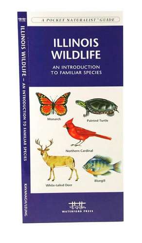 Illinois Wildlife: An Introduction to Familiar Species de James Kavanagh