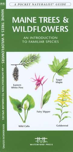 Maine Trees & Wildflowers: An Introduction to Familiar Species de James Kavanagh