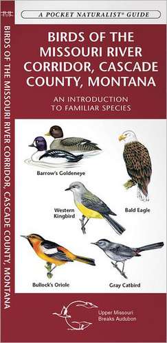 Birds of the Missouri River Corridor, Cascade County, Montana: A Folding Pocket Guide to Familiar Species de James Kavanagh