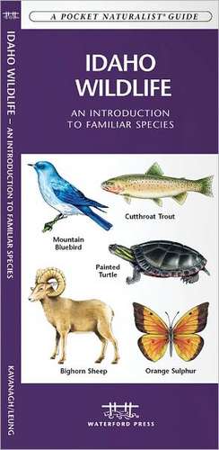 Idaho Wildlife: An Introduction to Familiar Species de James Kavanagh