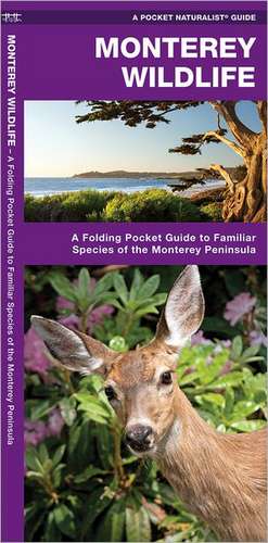 Monterey Wildlife: A Folding Pocket Guide to Familiar Species of the Monterey Peninsula de James Kavanagh