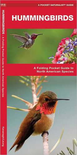 Hummingbirds: A Folding Pocket Guide to Familiar Species de James Kavanagh