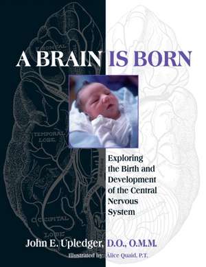 A Brain Is Born: Exploring the Birth and Development of the Central Nervous System de John E. Upledger