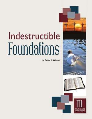 Indestructible Foundations de Peter Wilson