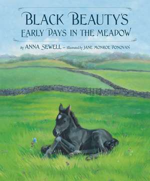 Black Beauty's Early Days in the Meadow de Anna Sewell