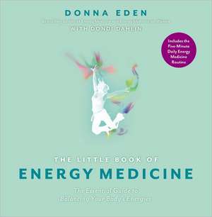 The Little Book of Energy Medicine de Donna Eden