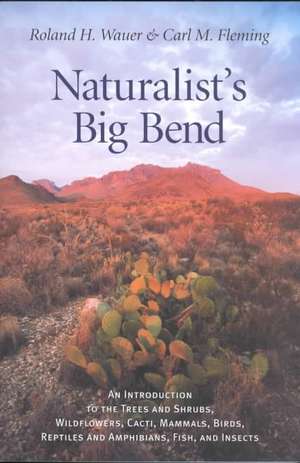 Naturalist's Big Bend: An Introduction to the Trees and Shrubs, Wildflowers, Cacti, Mammals, Birds, Reptiles and Amphibians, Fish, and Insect de Roland H. Wauer